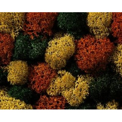 Lichen, Autumn Mix, 35 g Bag - NOCH 08630