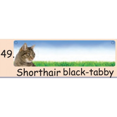 ALBATROS METALPLATES - PET NAMES ( SHORTHAIR BLACK-TABBY )